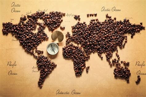 Discovering the World of Coffee Bean Origins & Types: A Beginner's Gui