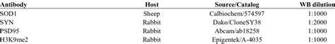 Antibodies used in Western blot studies. | Download Scientific Diagram
