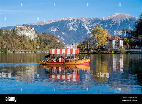 BLED ,SLOVENIA - NOVEMBER 11, 2017 -Traditional Pletna boat on the lake. Bled lake Slovenia ...