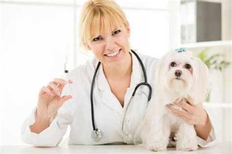 Leptospirosis Vaccine | Veterinarian in Creedmoor, NC | South Granville Animal Hospital