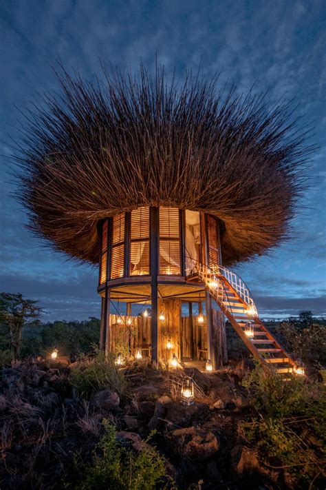 This giant bird's nest is actually a VERY luxurious safari lodge where ...