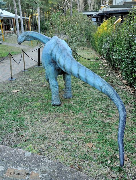 Italian Titanosaur "Tito". - Taken in Chianciano Terme, (tuscany, Italy). (January 2017) The ...