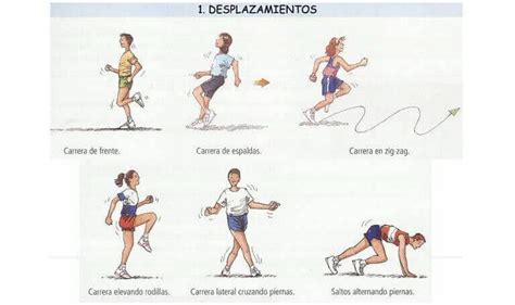 ¿Cuales son los tipos de desplazamiento en fisica?