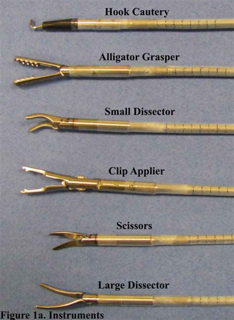 Laparoscopic Cholecystectomy Using A Novel Single-Incision Surgical Platform Through A Standard ...