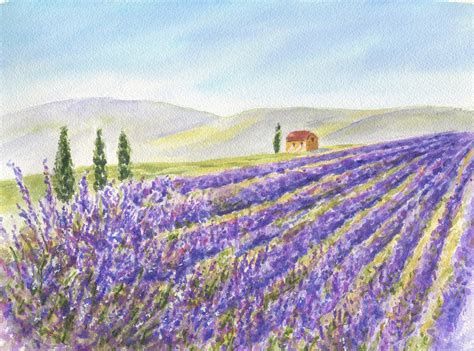 Lavender Field Watercolor Print or Original Painting Lavender - Etsy