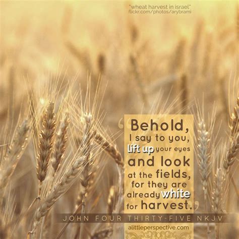 Pictures | Scripture pictures, Harvest festival, Scripture