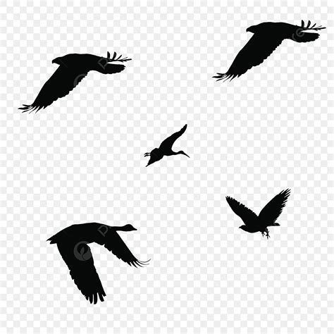 Birds Flying Silhouette Transparent Background, Animal Bird Silhouette ...