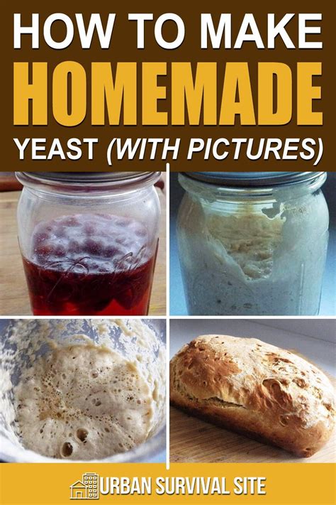 How To Make Homemade Yeast (With Pictures) in 2021 | Survival food, How ...