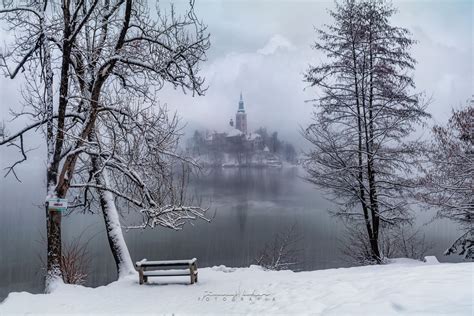 Bled, Winter Wonderland, Slovenia