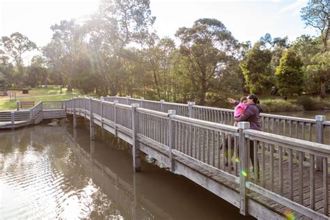 Ringwood: Melbourne's booming wine country gateway