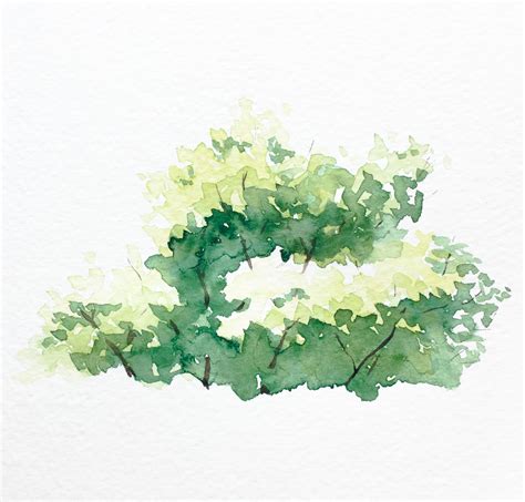 Watercolor Bushes at PaintingValley.com | Explore collection of ...