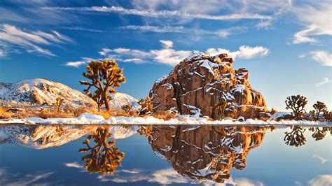 Snow in Joshua Tree National Park, California [1920x1080] : EarthPorn