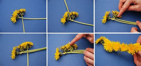 Workshop Wednesday: Flower Crown | Diy flower crown, Flower crown, Diy flowers