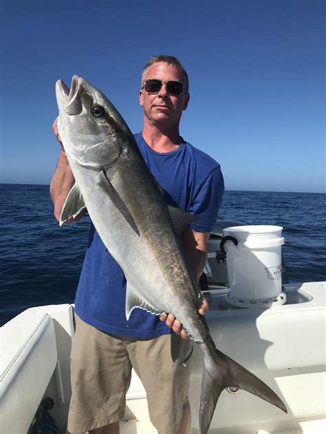 Amberjack Fishing Charters Clearwater FL | FishEye Sportfishing