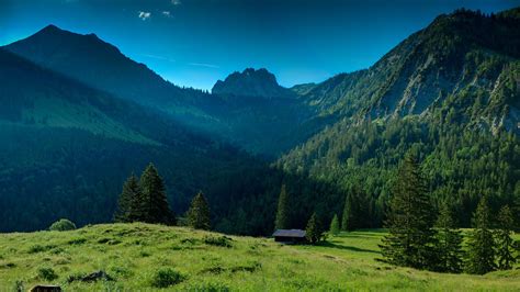 landscape, Nature, Valley, Trees, Pine Trees, Mountain, Forest ...