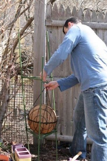 5 DIY Lettuce Globe Planter Ideas | Balcony Garden Web