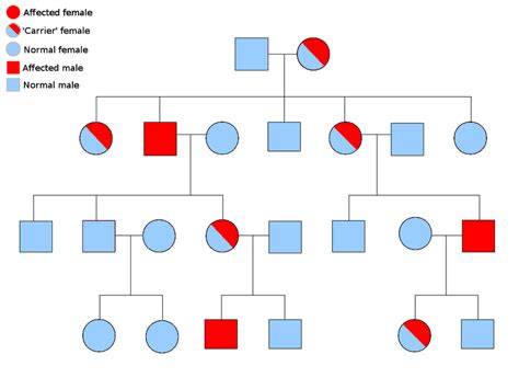 Difference Between Punnett Square and Pedigree | Compare the Difference ...