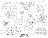 Nocturnal Animals Coloring Pages Printable sketch template