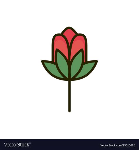 Cute flower leaves nature drawing Royalty Free Vector Image