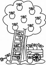 Free & Easy To Print Tree Coloring Pages  Tulamama sketch template