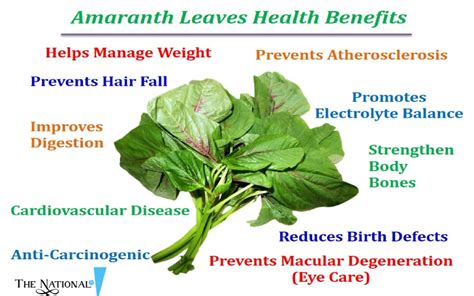 Health Benefits Of Amaranth Leaves | Medical Advantages