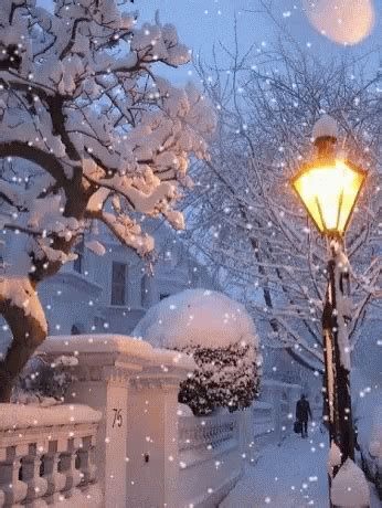 Lamp Post Snowfall GIF - LampPost Snowfall Tree - Discover & Share GIFs