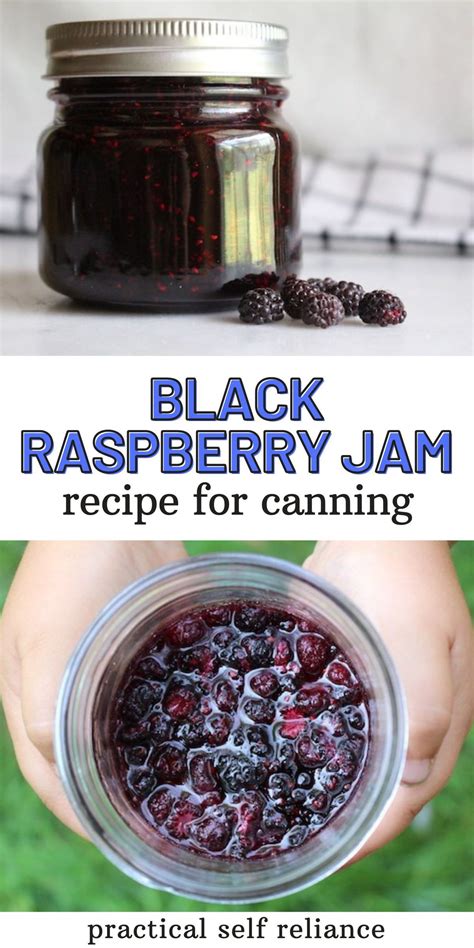 Black Raspberry Jam | Recipe | Black raspberry jam recipe, Raspberry ...