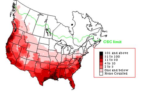 Killdeer - Early Winter Range Map