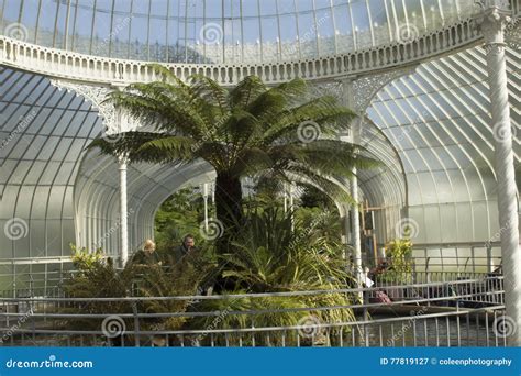 Beautiful Greenhouse in Glasgow Botanic Gardens Editorial Photography ...