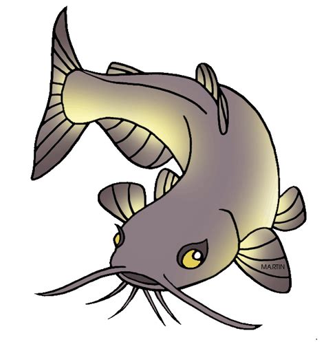 Catfish clipart channel catfish, Catfish channel catfish Transparent FREE for download on ...