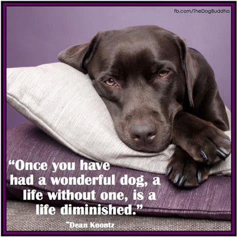 Rip Dog Quotes. QuotesGram