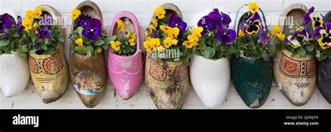 Dutch wooden clogs with flowers Stock Photo - Alamy