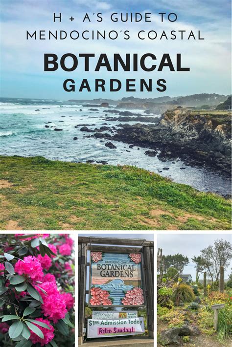 Guide to the Mendocino Botanical Gardens | Henry and Andrew's Guide