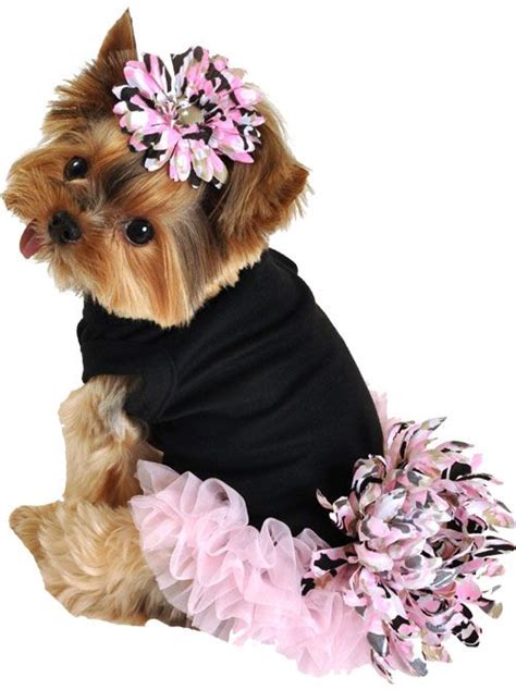 Puppy Dresses Luciana Black Pink Cute (With images) | King charles cavalier spaniel puppy, Girl ...