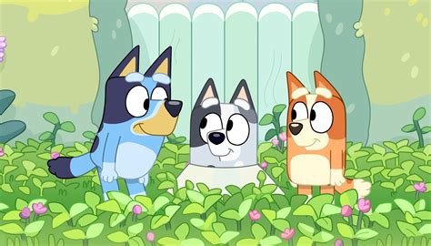 Bluey season 3 episodes: How to watch, where, + more