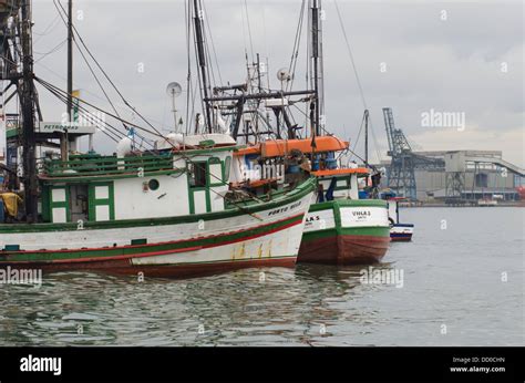 Long line fishing boats moored at the fishing terminal, at Ponta da Praia, Santos, São Paulo ...