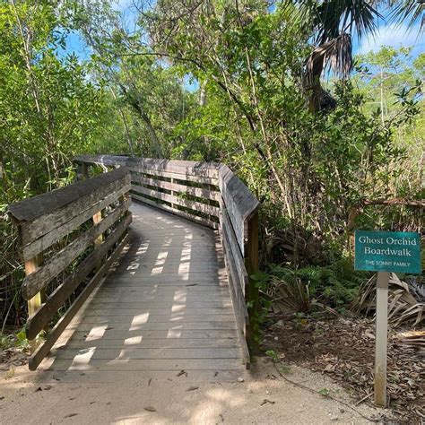 Naples Botanical Garden on Instagram: “Take the Ghost Orchid Boardwalk to the Vicky C. and David ...