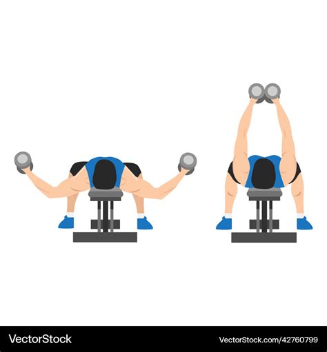 Man doing flat bench dumbbell fly exercise Vector Image