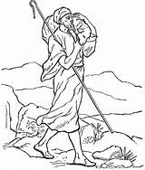 Good Shepherd And Parable Of The Lost Sheep Coloring Pages sketch template
