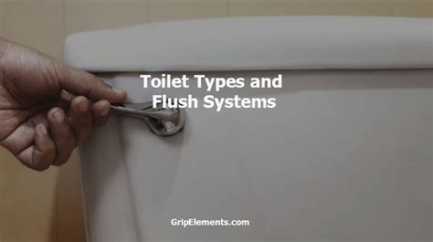 8 Toilet Types and Flush Systems for Different Occasions