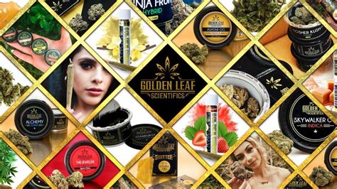 Golden Leaf Scientifics - Delivery | Dispensary Menu, Reviews & Photos