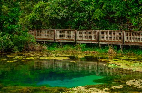 Magnolia Springs State Park on Behance