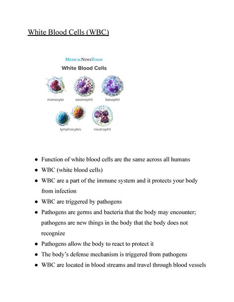 White Blood Cells function, diseases, and types - White Blood Cells (WBC) Function of white ...