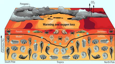 End-Permian Marine Mass Extinction Caused by Increased Temperatures ...