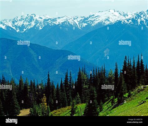 Cascade Mountains in Olympic National Park in Washington State USA ...