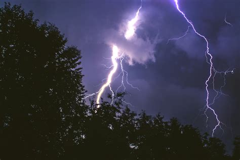 Lightning Strike on Forest during Night Time · Free Stock Photo