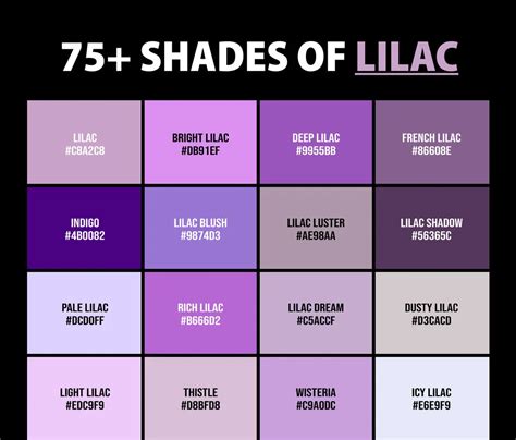 75+ Shades of Lilac Color (Names, HEX, RGB, & CMYK Codes) – CreativeBooster