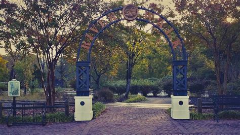 Morning on the Conway Riverwalk | River walk, Adventure tours, Coastal south carolina