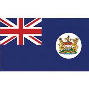 Amazon.com: Hong Kong British Flag 3ft x 5ft: Patio, Lawn & Garden ...