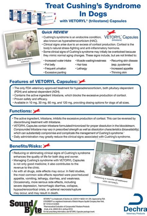 Vetoryl (trilostane) Capsules - Today's Veterinary Business